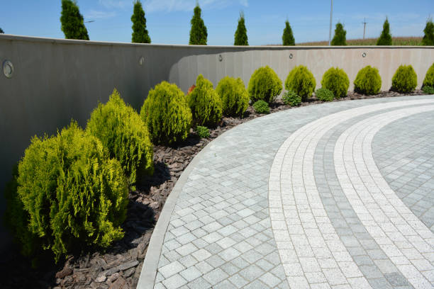 Best Driveway Paving Contractor  in Ardmore, AL